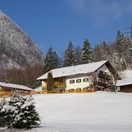 Haus Holzner-Nagl Apartment Schneizlreuth Ngoại thất bức ảnh